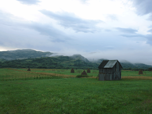 Foto zori de zi de Valea Izei (c) Petru Goja